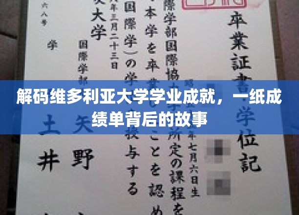 探寻维多利亚大学学子辉煌背后的秘密，成绩单背后的精彩人生