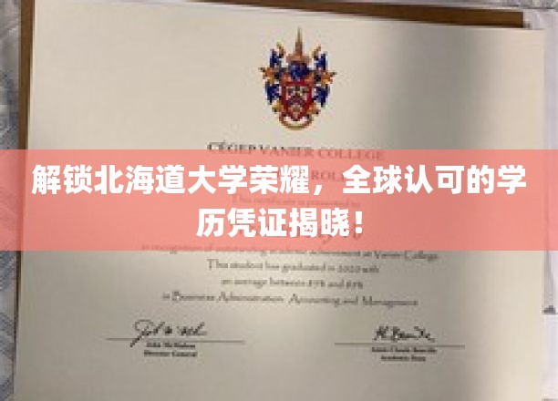 探寻北海道大学国际声誉背后的黄金文凭！