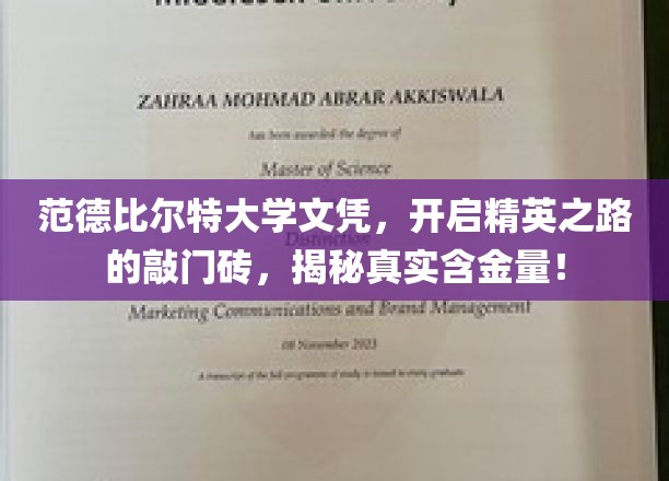 范德比尔特大学文凭：开启精英之路的敲门砖，揭秘其真实含金量！