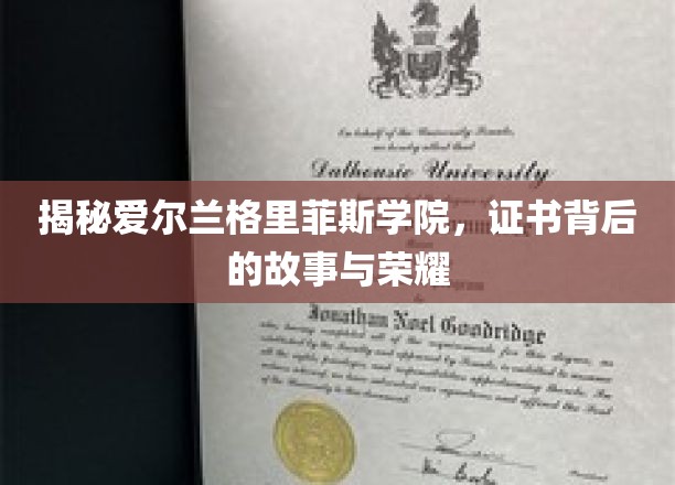 揭秘爱尔兰格里菲斯学院，证书背后的故事与荣耀