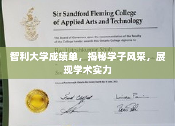 智利学子风采录，一纸成绩单背后的学术实力与荣耀瞬间