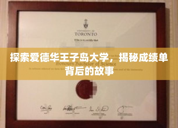 解码爱德华王子岛大学，成绩单里的岛际传奇