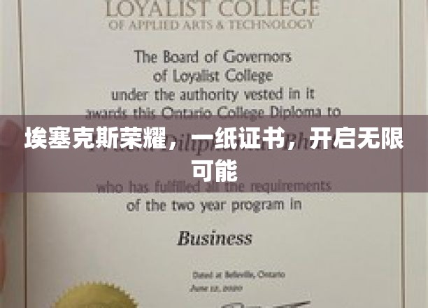 埃塞克斯荣耀证书，解锁梦想新篇章