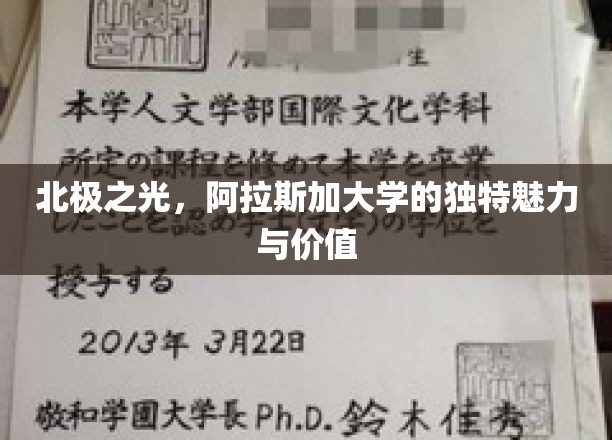 探寻极光奥秘，阿拉斯加大学的不凡风采与学术价值