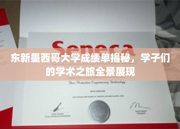东新墨西哥大学成绩单揭秘，学子们的学术之旅全景展现