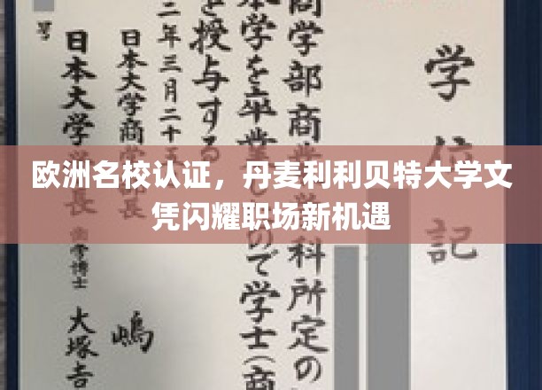 欧洲名校认证，丹麦利利贝特大学文凭，开启职场新篇章