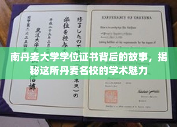探寻南丹麦大学学位证书背后的传奇，揭开丹麦名校的学术风采