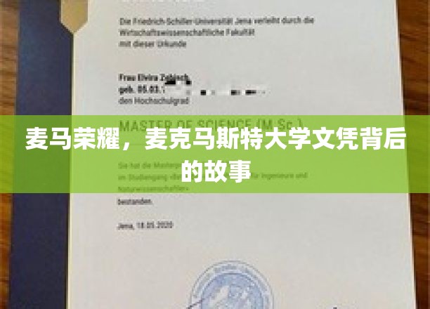 麦马荣耀，麦克马斯特大学文凭背后的故事