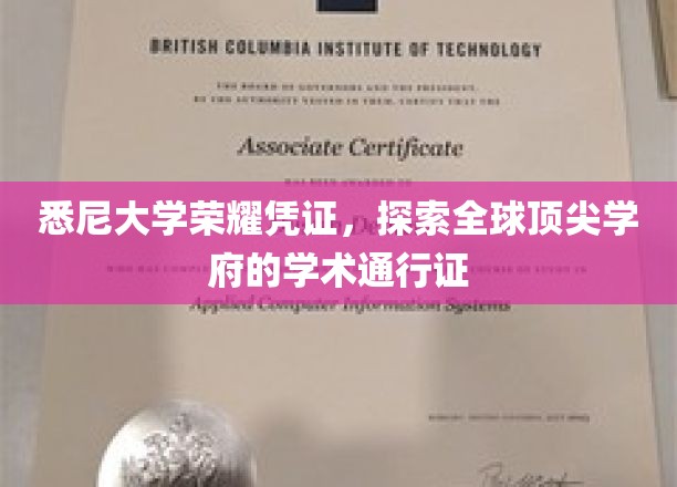 悉尼大学通行证，解锁世界顶级学术殿堂的荣耀之路