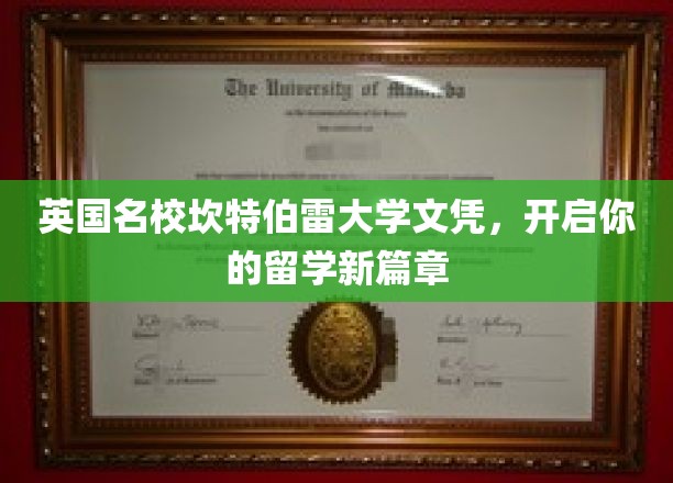 坎特伯雷大学文凭加持，打造国际视野新起点