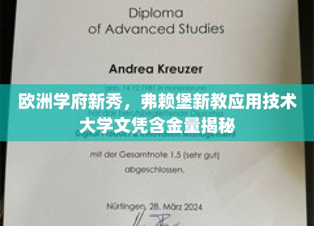 欧洲教育新星，弗赖堡新教应用技术大学学位价值探秘