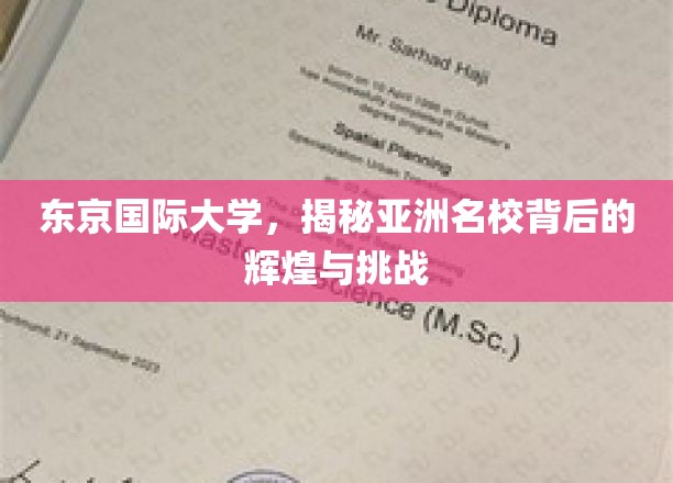 解码东京国际大学，亚洲顶尖学府的荣耀之路