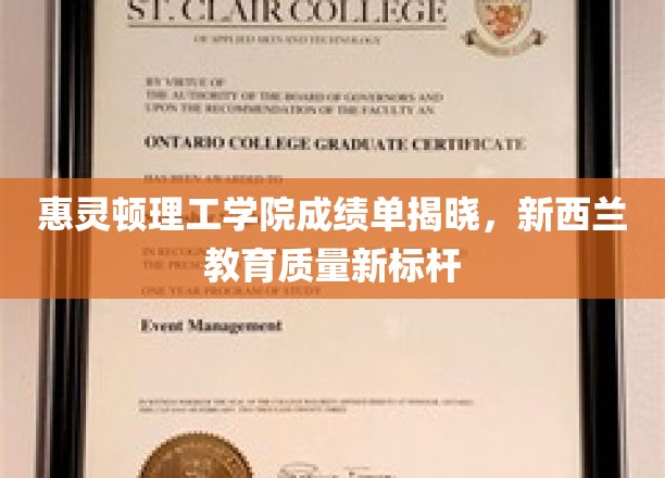 惠灵顿理工学院成绩单揭晓，新西兰教育质量新标杆
