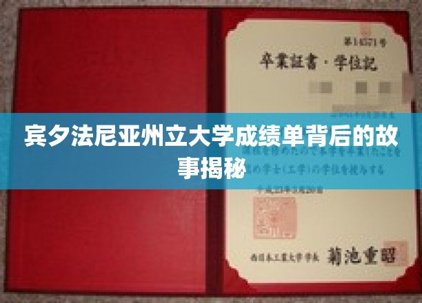 揭开宾夕法尼亚州立大学成绩单的神秘面纱