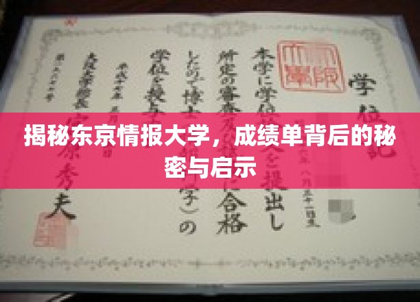 解码东京情报大学，成绩单背后的人生启示录