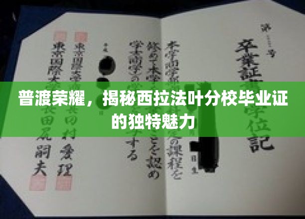 探寻西拉法叶分校毕业证背后的荣耀印记