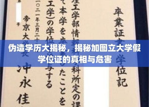 图立大学假学位证风波，揭秘伪造学历背后的隐秘世界