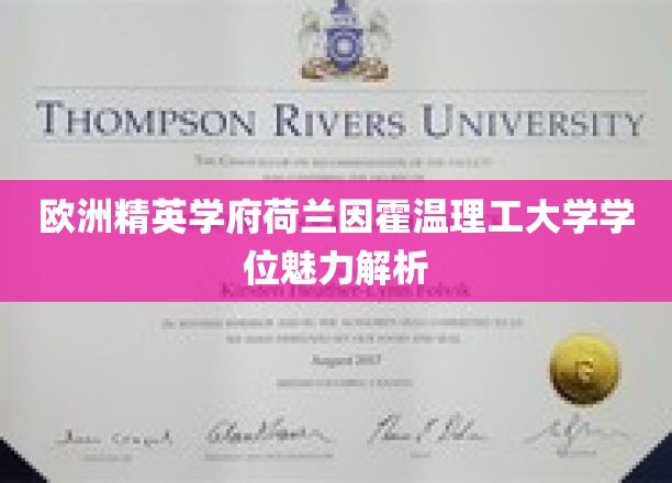 荷兰因霍温理工，揭秘顶尖学位背后的独特魅力
