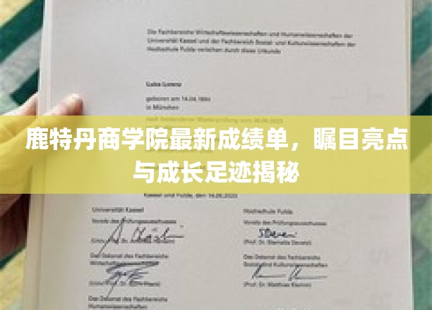 鹿特丹商学院最新成绩单，瞩目亮点与成长足迹揭秘