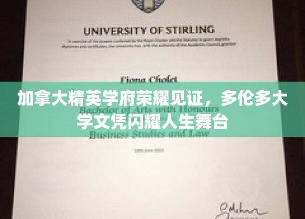 多伦多大学荣耀加冕，精英学子成就非凡人生篇章