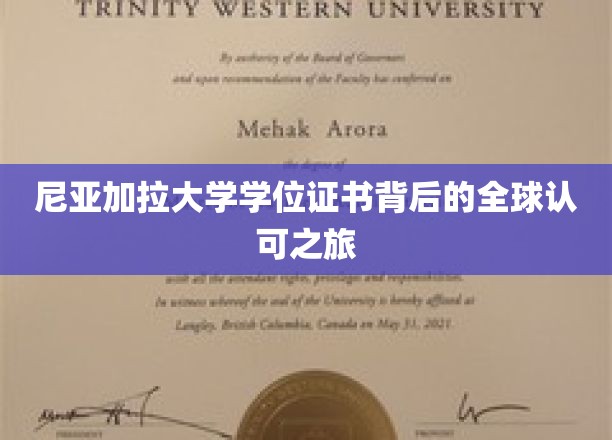 尼亚加拉大学学位证书，跨越国界，全球认可的非凡旅程