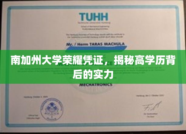 解锁南加大高学历光环，探秘荣耀凭证背后的卓越实力