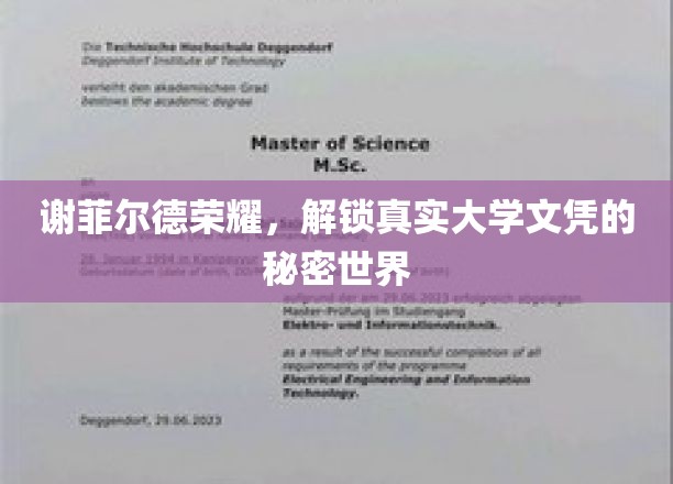 解码谢菲尔德荣耀，揭开大学文凭背后的真实奥秘