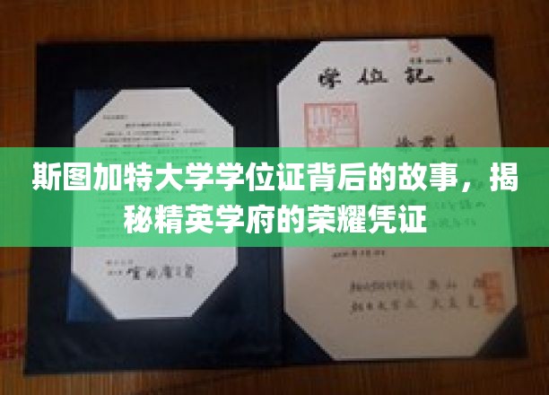 探寻斯图加特大学学位证的传奇奥秘，精英学府的荣耀印记