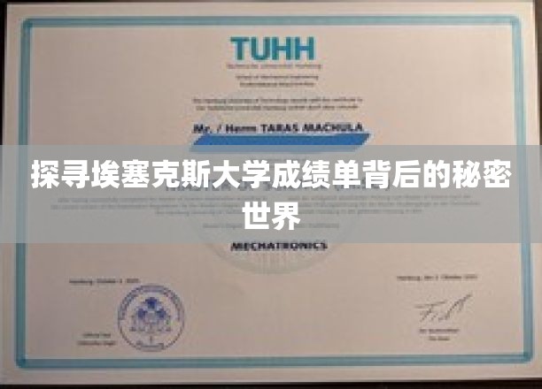揭秘埃塞克斯大学成绩单的神秘面纱