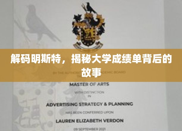 解码明斯特，揭秘大学成绩单背后的故事