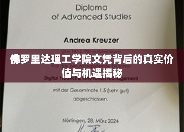 佛罗里达理工学院文凭背后的真实价值与机遇揭秘