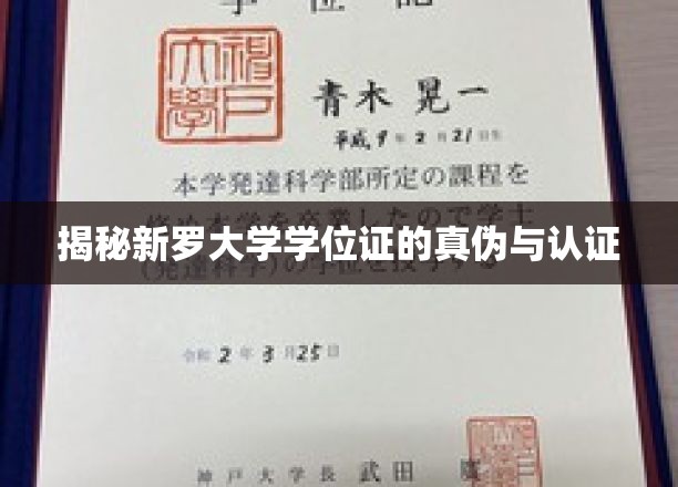 辨别新罗大学学位证真伪的指南解析