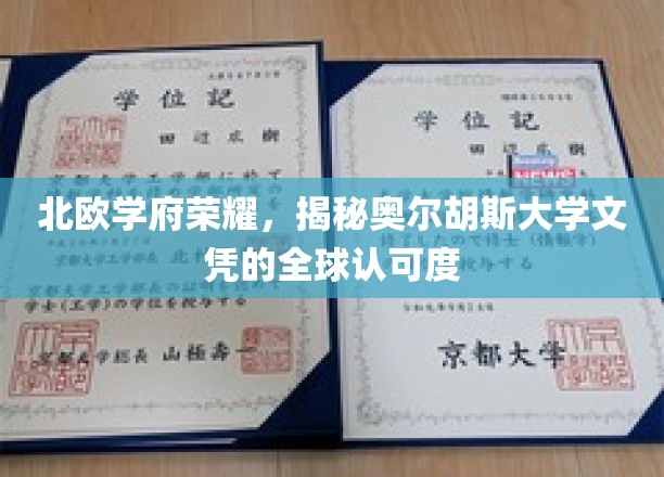 奥尔胡斯大学荣耀闪耀，全球认可度揭秘之旅