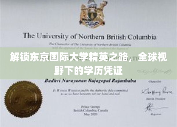 跨越国际视野，揭秘东京国际大学精英教育的独特魅力
