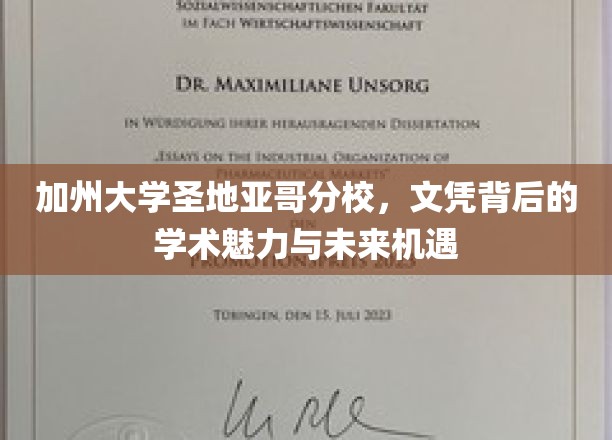 加州大学圣地亚哥分校：文凭背后的学术魅力与无限机遇