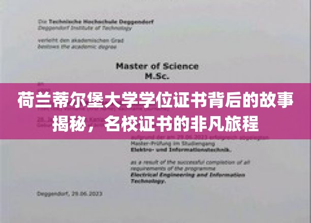 揭开蒂尔堡大学学位证书的传奇之旅，探寻名校证书背后的非凡历程