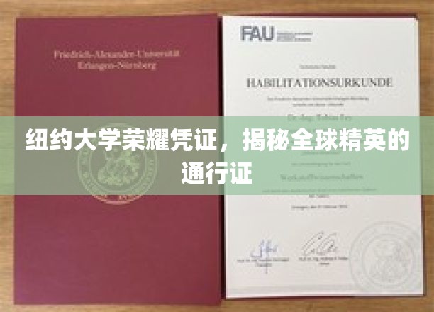 纽约大学精英通行证，解锁全球顶尖学府的荣耀之门