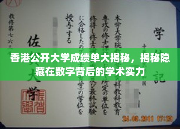 香港公开大学成绩单深度解析，揭示数字背后的学术实力