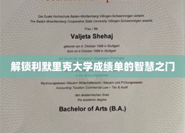 解锁利默里克大学成绩单的智慧之门