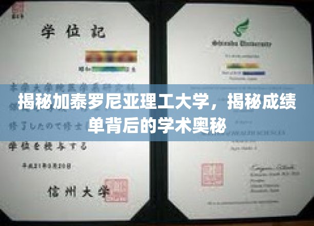 探索加泰罗尼亚理工大学，揭秘成绩单背后的学术奥秘