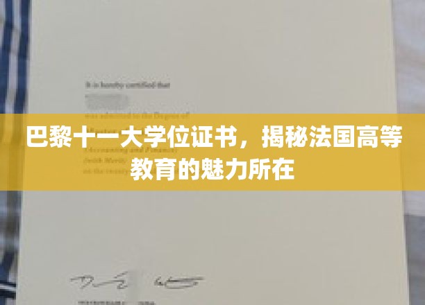 法国高等教育探秘，巴黎十一大学位，解码法国学术之魂