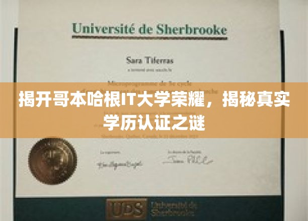 哥本哈根IT大学揭秘，学历认证背后的传奇故事