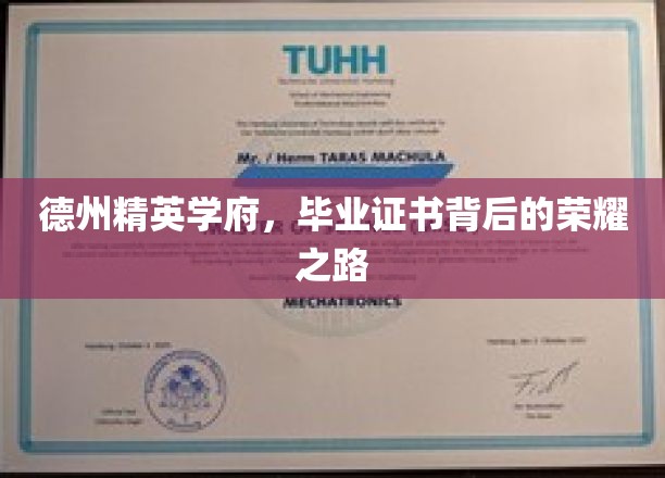 解码德州精英，毕业证书背后的辉煌历程