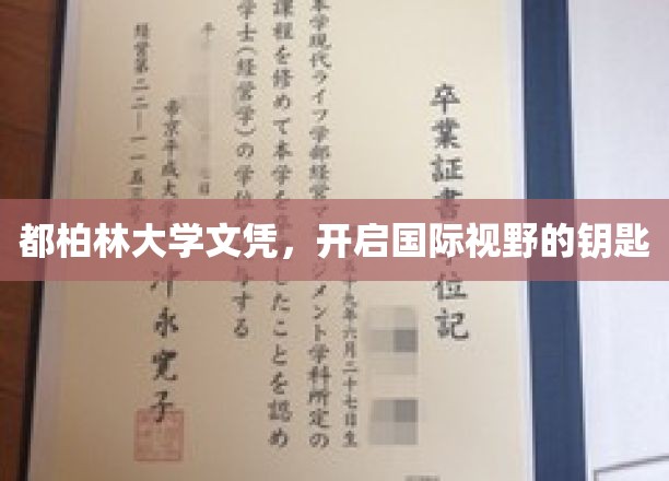 跨越国界，都柏林大学文凭开启全球视野之旅