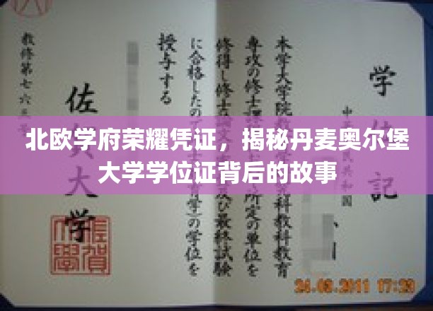 探寻丹麦奥尔堡大学学位证的北欧荣耀之谜