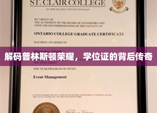 普林斯顿学位背后的传奇揭秘，揭秘荣耀背后的秘密之旅