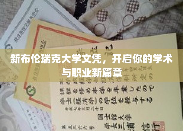 新布伦瑞克大学文凭，开启你的学术与职业新篇章