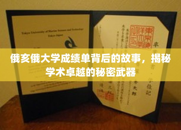 俄亥俄大学成绩单背后的故事，揭示学术卓越的秘密武器