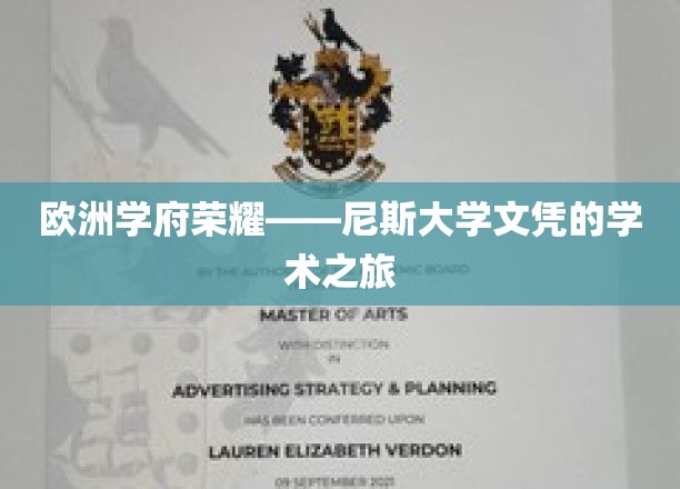 尼斯大学荣耀之旅，探索欧洲顶尖教育的秘密宝藏