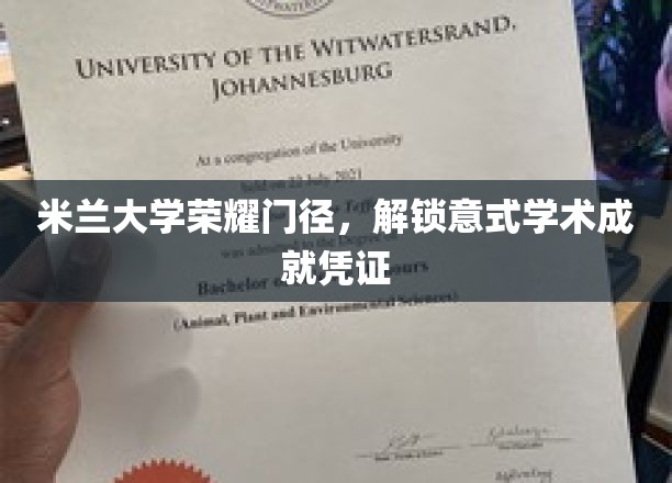 意式荣耀之门，揭秘米兰大学学术通行证的秘密